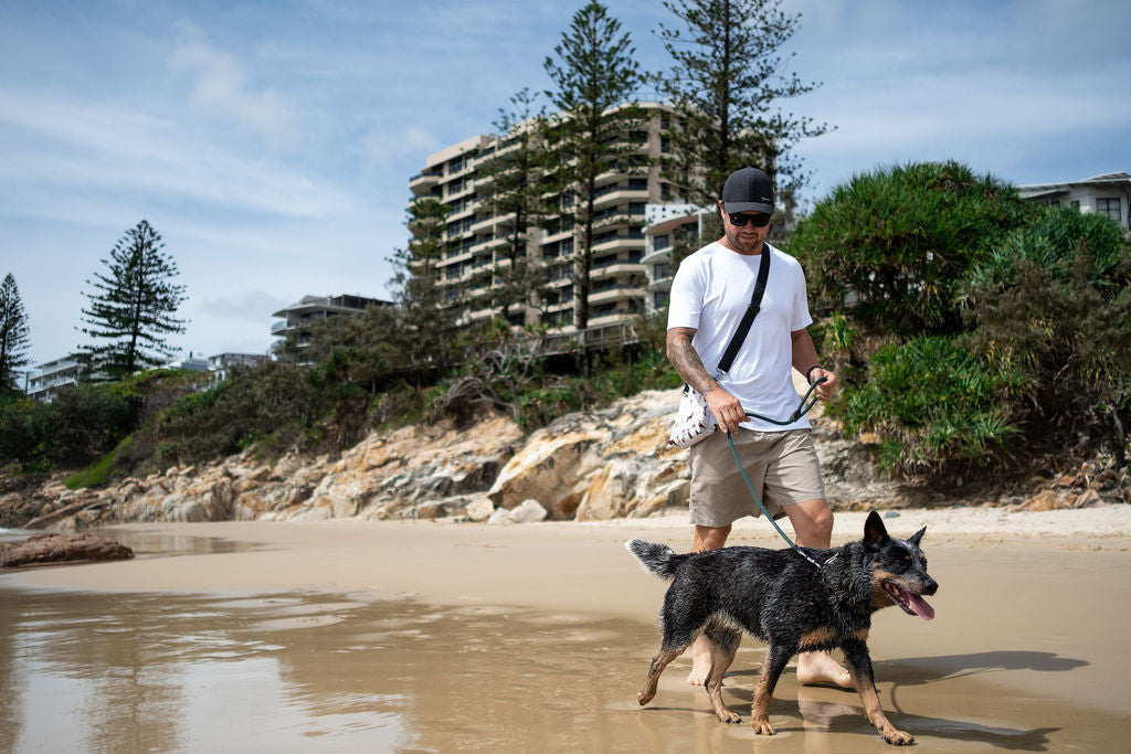 Sand Free Dog Towel