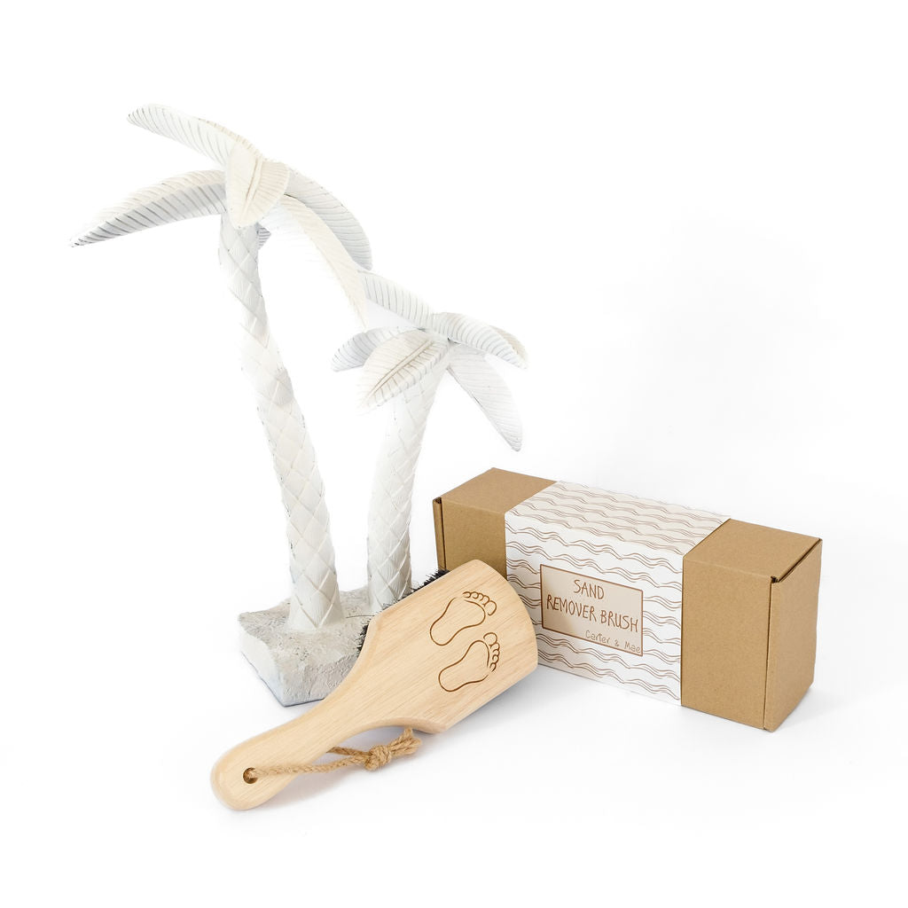 Sand Remover Brush