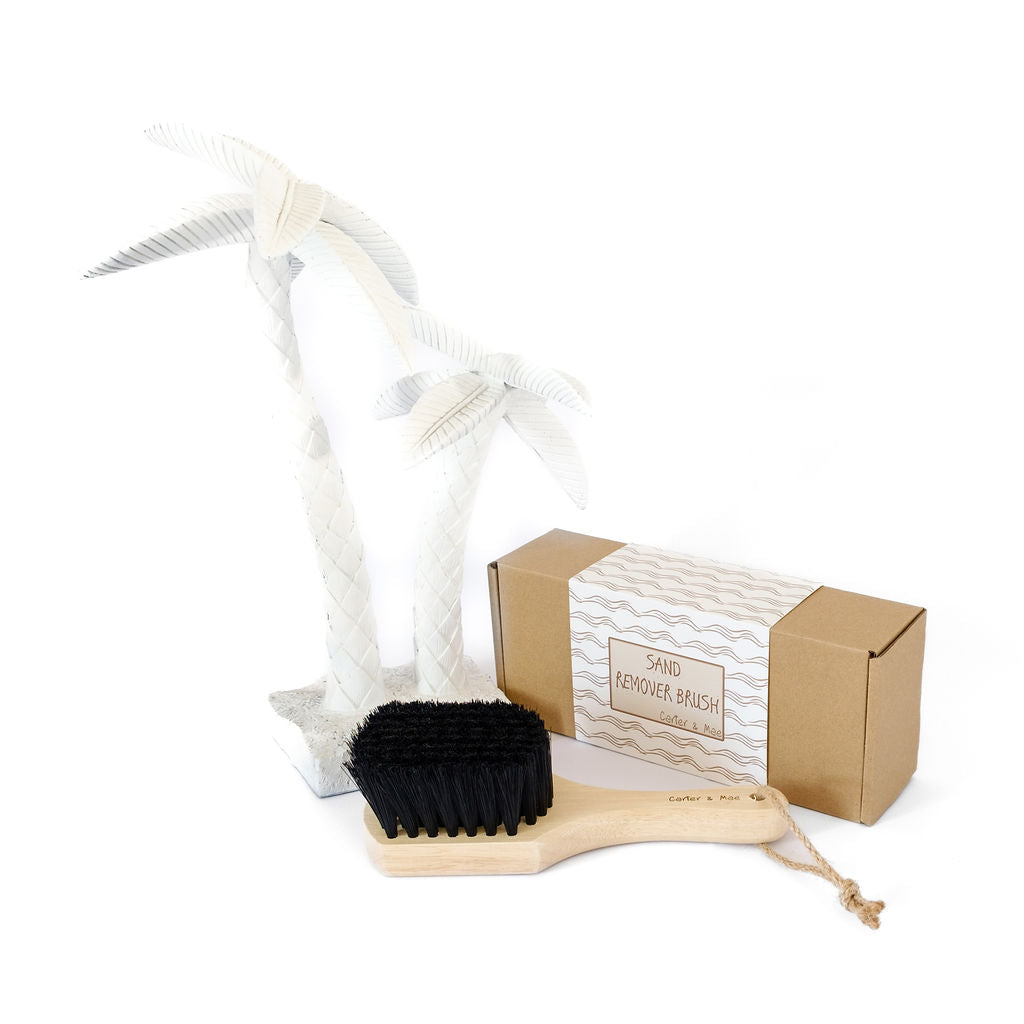 Sand Remover Brush